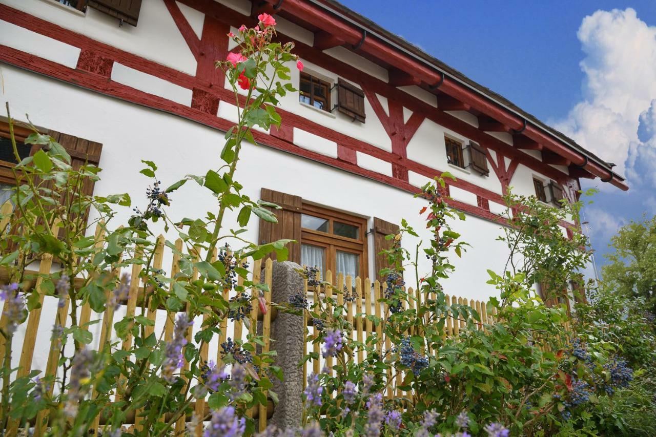 Appartement Jurahaus Hirschberg à Beilngries Extérieur photo